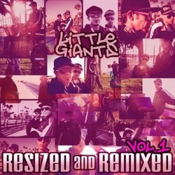 Resized & Remixed, Vol. 1