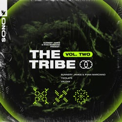 Sunnery James & Ryan Marciano present: The Tribe Vol. Two
