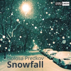 Snowfall