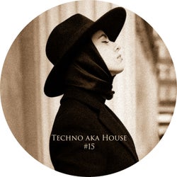 Tech Aka House #15
