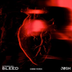 Bleed (Extended Mix)