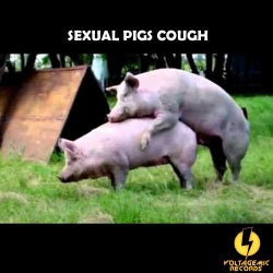 Sexual Pigs Cough