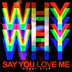 Why Say You Love Me