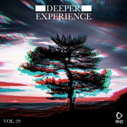 Deeper Experience Vol. 29