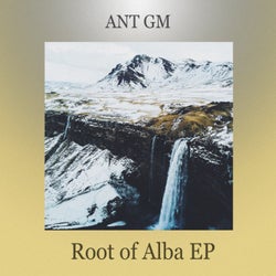 Root of Alba