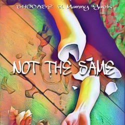 Not the Same (feat. Sho Case)