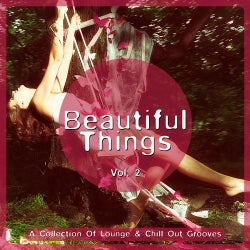 Beautiful Things Vol. 2 (A Collection Of Lounge & Chill Out Grooves)