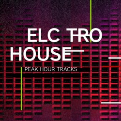 Peak Hour Tracks: Electro House