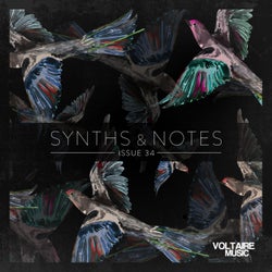 Synths And Notes 34