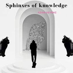 Sphinxes of Knowledge