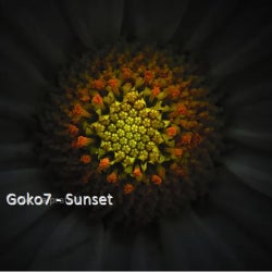 Goko7 - Sunset