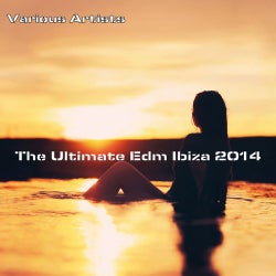 The Ultimate EDM Ibiza 2014