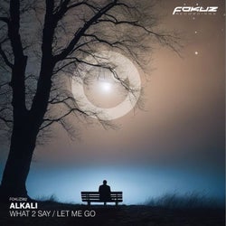 What 2 Say / Let Me Go