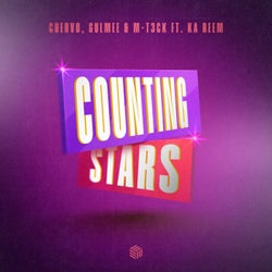 Counting Stars (Extended Mix)