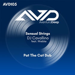 SensuaL Strings (feat. Wiebke) [Pat The Cat Dub]