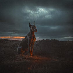 Shake it to the GROUND