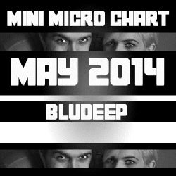 Mini Micro May 2014
