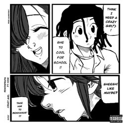 Crazy Girl (feat. HOOK)