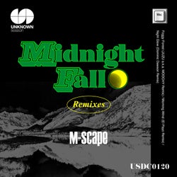 Midnight Fall (Remixes)