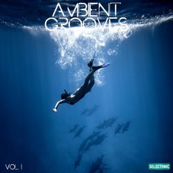 Ambient Grooves, Vol. 1