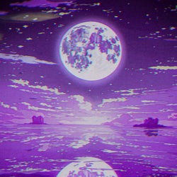 NIGHT