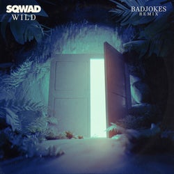 Wild (Badjokes Remix)