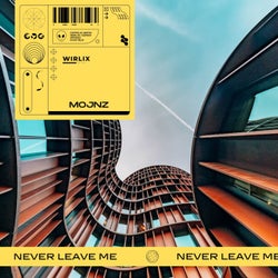 Never Leave Me