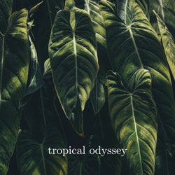 Tropical Odyssey