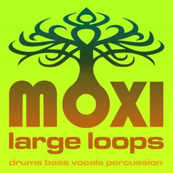 Moxi Large Loops Volume 2