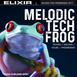 Melodic Tech Frog