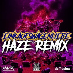 Einkaufswagenliebe (Haze Schrägstrich Störung Remix)