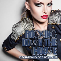Rocking Down The House - Electrified House Tunes Vol. 12