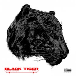 Black Tiger