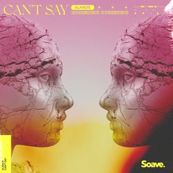 Can't Say (Extended Mix)