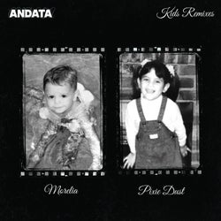 Shadows (Morelia & Pixie Dust Remix)