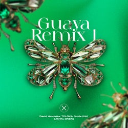 Guaya Remix 1