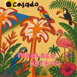 O Cajado