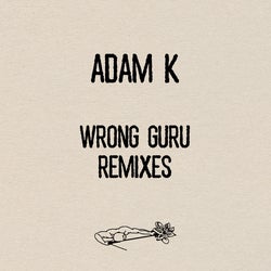 Wrong Guru Remixes