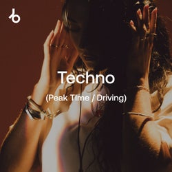 Festival Essentials 2026: Techno (P/D)