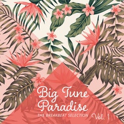 Big Tune Paradise - The Breakbeat Selection, Vol. 1