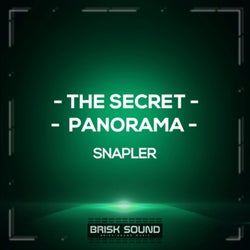 The Secret / Panorama