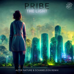 The Light (Alter Nature & Schameleon Remix)