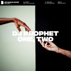 DJ Prophet's 'One, Two' Chart
