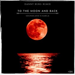 To The Moon And Back (Danny Burg Remix)