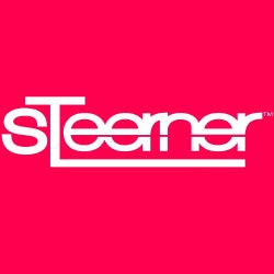 001 Steerner Chart
