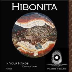 In Your Hands (Original Mix)