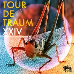 TOUR DE TRAUM XXIV STIQ TOP 10