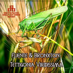 Tettigonia Viridissima