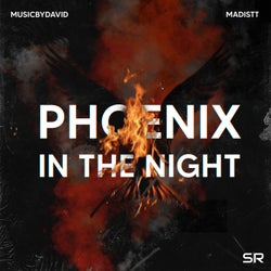 Phoenix in the Night