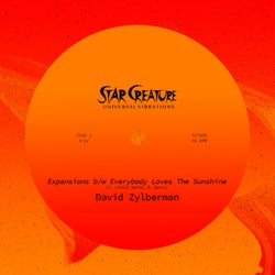 Expansions / Everybody Loves The Sunshine EP